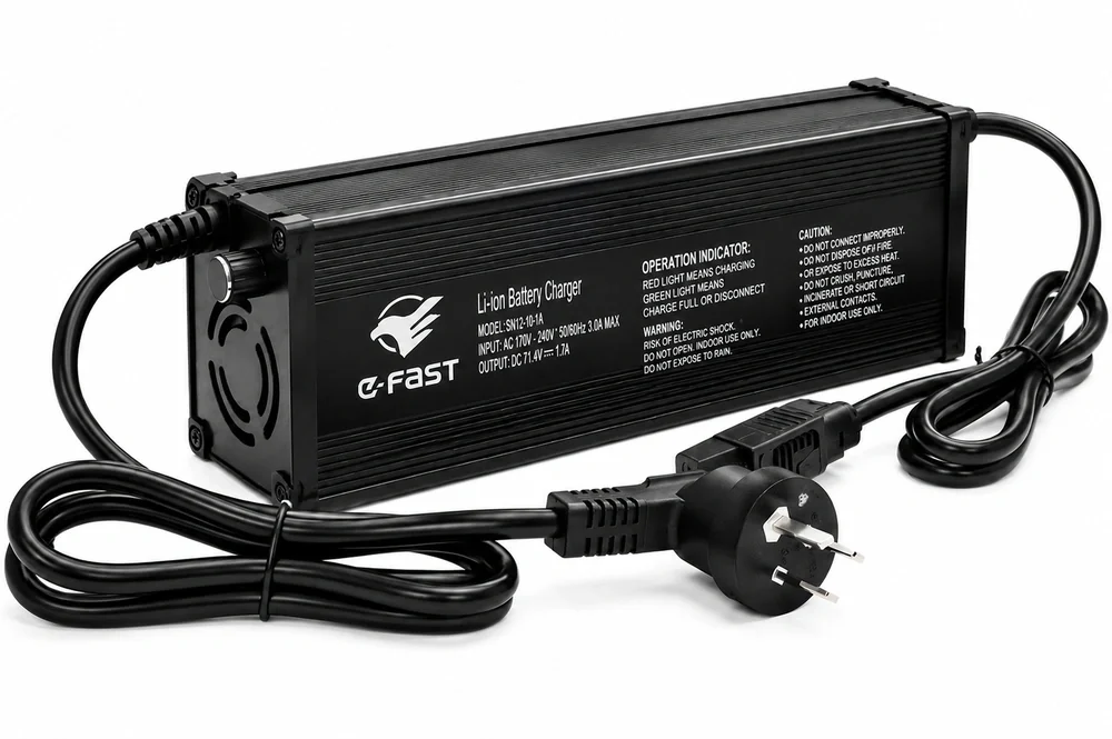 48 Volt Battery Charger